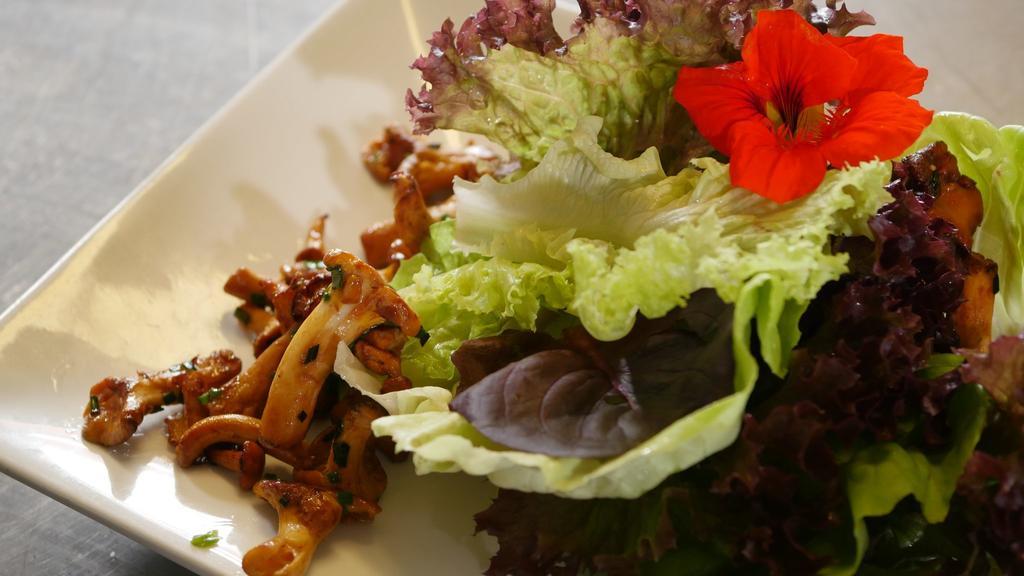 Hotel & Brauerei-Gasthof Neuwirt نوبورغ آن دي دوناو المظهر الخارجي الصورة